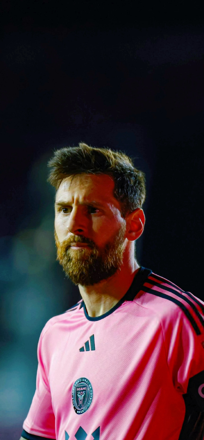 公牛的赢球 公牛的赢球