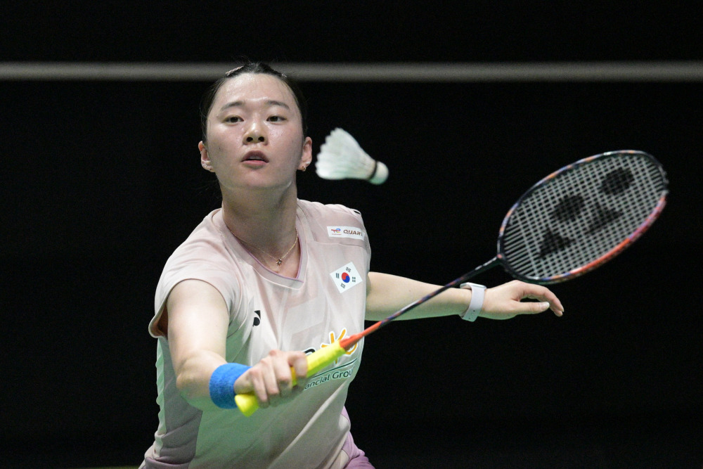 中金研报提 中金研报提