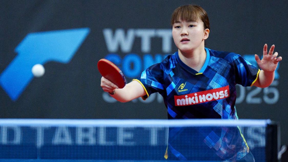 展的缩影 展的缩影